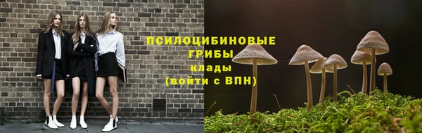 мдпв Бородино