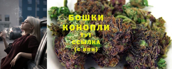ешки Бронницы
