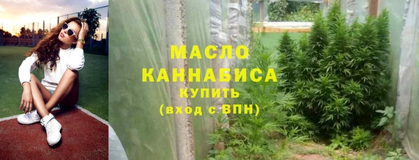 мдпв Бородино