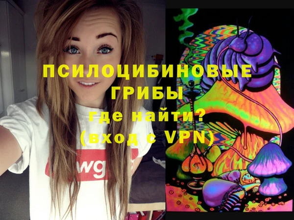 ешки Бронницы