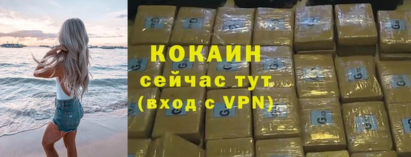 мдпв Бородино