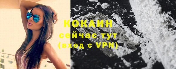 шишки Богданович