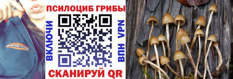 Галлюциногенные грибы MAGIC MUSHROOMS  где найти наркотики  Медынь 