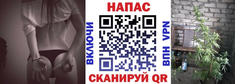 Канабис MAZAR  Медынь 